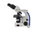 Mikroskop Biologiczny 100X Lornetka Mikroskop Biologiczny Z Oświetleniem LED 3W dostawca