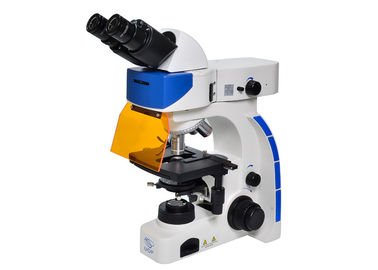 Chiny UOP pionowy mikroskop fluorescencyjny, mikroskopia fluorescencyjna wysokiej rozdzielczości dostawca