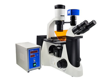 Chiny Mikroskop V / UV w pionie i odwrócony mikroskop dostawca