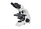 6V 20W Mikroskop Biologiczny Laboratoryjny 40-1000X Powiększenie Biały Czarny dostawca