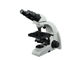6V 20W Mikroskop Biologiczny Laboratoryjny 40-1000X Powiększenie Biały Czarny dostawca