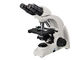 Wielofunkcyjny lornetkowy mikroskop biologiczny 4X - 100X z celami planu dostawca