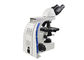 Mikroskop Biologiczny 100X Lornetka Mikroskop Biologiczny Z Oświetleniem LED 3W dostawca