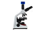 WF10X / 18mm Laboratoryjny Mikroskop Biologiczny Tinocular Mikroskop Z Lampą LED dostawca
