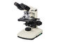 Laboratoryjny Mikroskop Biologiczny LED Achromatyczny Profesjonalny System Optyczny Finity dostawca