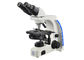 Profesjonalny Mikroskop Lornetki Uop Najwyższy Mikroskop Powiększający dostawca
