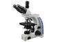 Kompaktowa mikroskopia w ciemnym polu, mikroskop transmisyjny 10-krotny powiększający obiektyw dostawca
