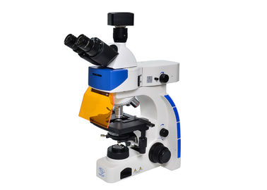 Mikroskop Trinocular Upright Fluorescence z filtrem fluorescencyjnym B &amp; G dostawca
