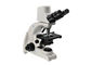 1000X Cyfrowy Mikroskop Optyczny 5MP Cyfrowy Mikroskop Biologiczny dostawca