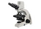 1000X Cyfrowy Mikroskop Optyczny 5MP Cyfrowy Mikroskop Biologiczny dostawca