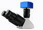 Profesjonalny optyczny mikroskop metalurgiczny UM203i ze źródłem światła 12V 50W dostawca