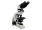 Trinokularny mikroskop metalurgiczny 4X 10X 40X 60X do treningu azbestowego dostawca