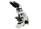 UP102i Mikroskopia w mikroskopii świetlnej z polaryzacją światła UOP Mikroskop dostawca