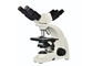 40x-1000x UOP Wielokrotny mikroskop z oświetleniem LED o mocy 3W dostawca