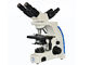 UOP204i Mikroskop wielofunkcyjny 10x 40x 100x Zastosowanie w edukacji szkolnej dostawca