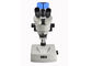 Profesjonalny stereoskopowy mikroskop optyczny z kamerą o rozdzielczości 5 milionów pikseli dostawca