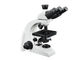 UB103i Profesjonalny mikroskop trinokularny klasy podstawowej dla uczniów szkół podstawowych dostawca
