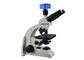 UB103i Profesjonalny mikroskop trinokularny klasy podstawowej dla uczniów szkół podstawowych dostawca